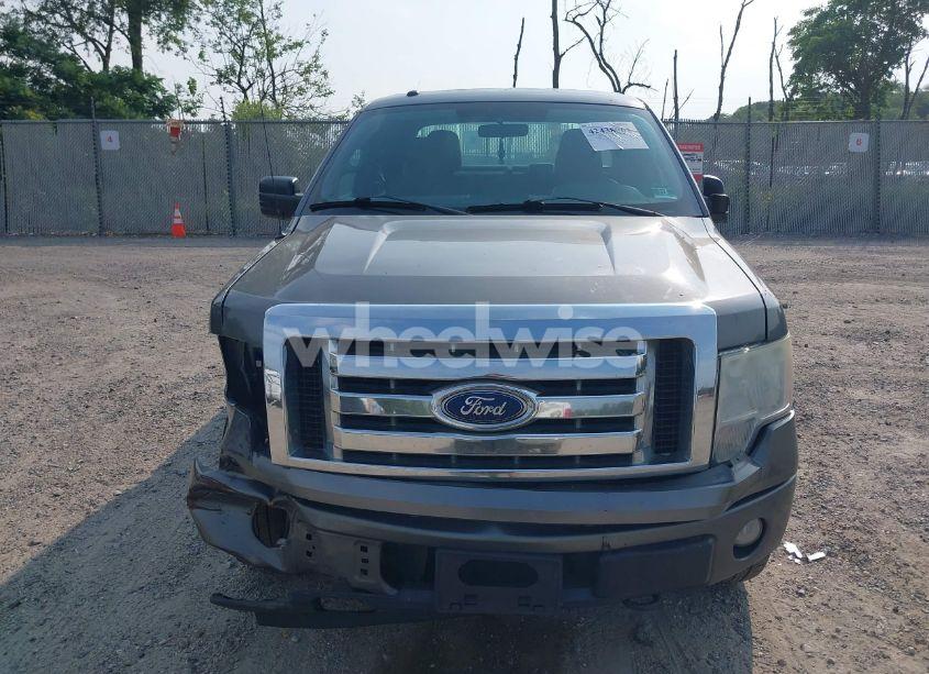 Photo 12 of 2010 Ford F-150 STX/XL/XLT (VIN 1FTEX1E83AFD70461)