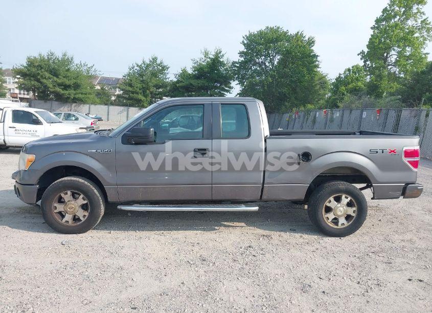 Photo 14 of 2010 Ford F-150 STX/XL/XLT (VIN 1FTEX1E83AFD70461)