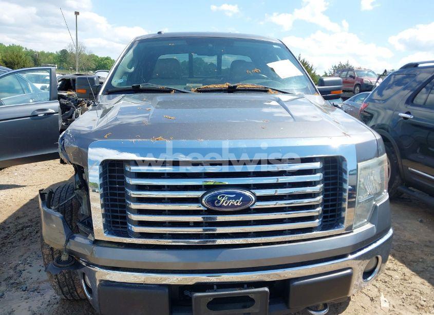 Photo 12 of 2010 Ford F-150 STX/XL/XLT (VIN 1FTEX1E84AKA19386)