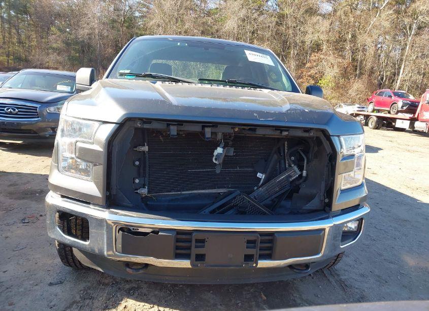 Photo 12 of 2015 Ford F-150 XL (VIN 1FTEX1E84FFC81764)