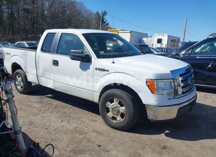 2010 Ford F-150 STX/XL/XLT (VIN 1FTEX1E86AFA45349) main photo