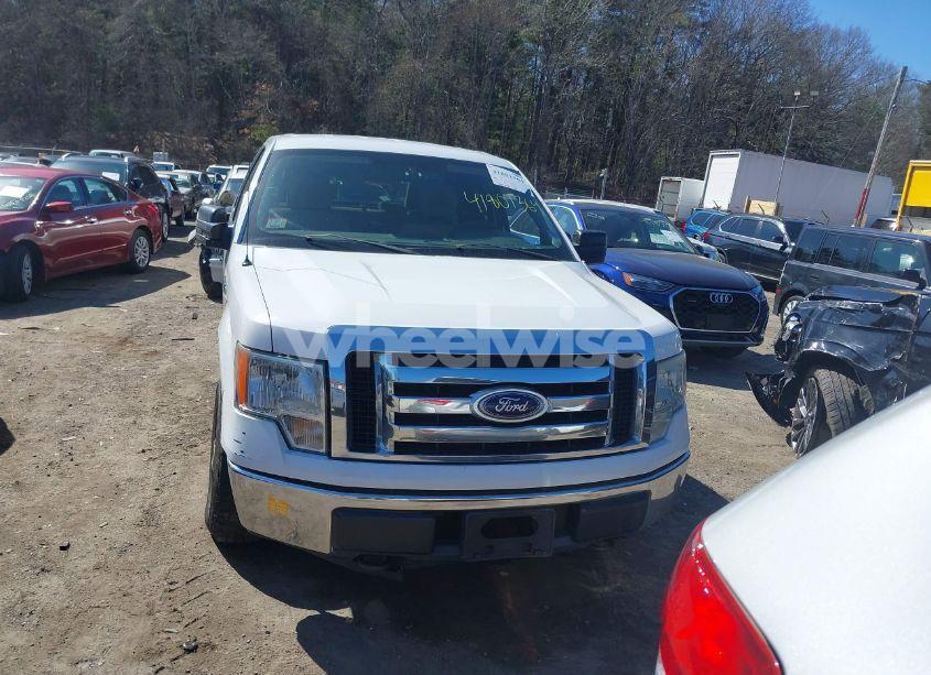 Photo 12 of 2010 Ford F-150 STX/XL/XLT (VIN 1FTEX1E86AFA45349)