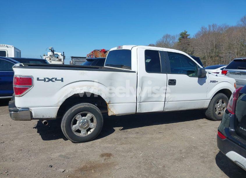 Photo 13 of 2010 Ford F-150 STX/XL/XLT (VIN 1FTEX1E86AFA45349)