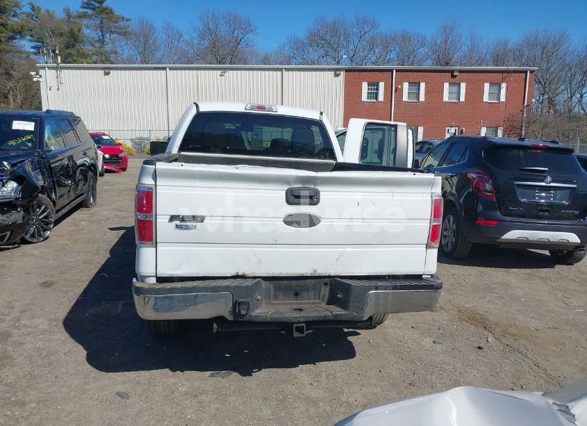 Photo 16 of 2010 Ford F-150 STX/XL/XLT (VIN 1FTEX1E86AFA45349)