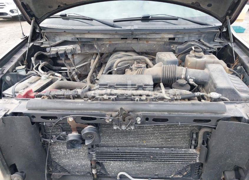 Photo 10 of 2010 Ford F-150 STX/XL/XLT (VIN 1FTEX1E86AFC33157)