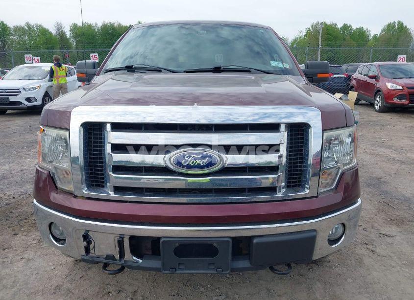 Photo 13 of 2010 Ford F-150 STX/XL/XLT (VIN 1FTEX1E86AFC33157)
