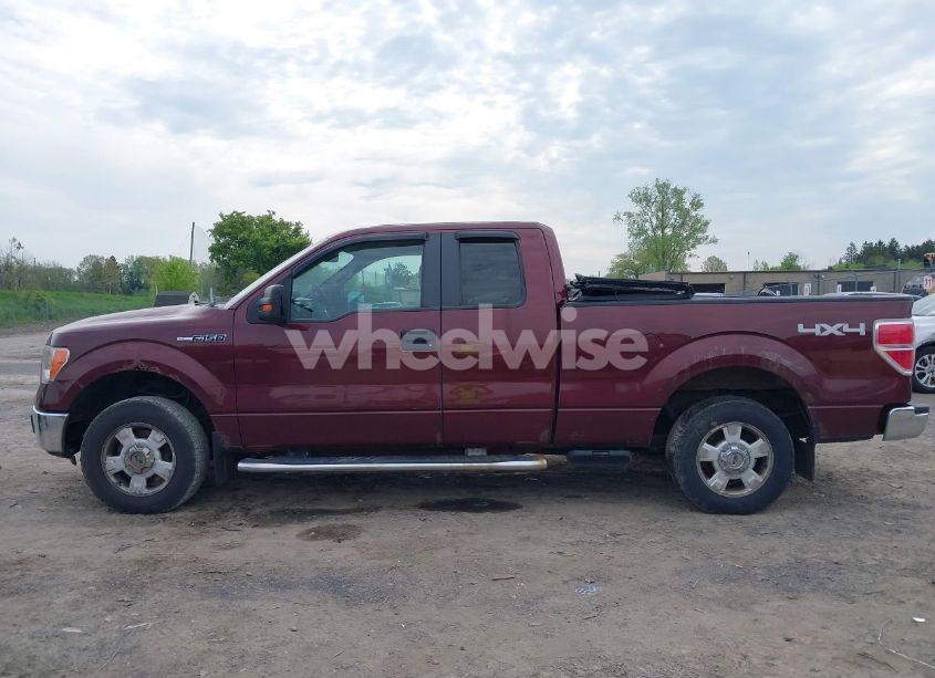 Photo 15 of 2010 Ford F-150 STX/XL/XLT (VIN 1FTEX1E86AFC33157)