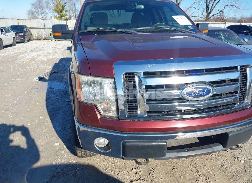 2010 Ford F-150 STX/XL/XLT (VIN 1FTEX1E87AFC69522) main photo