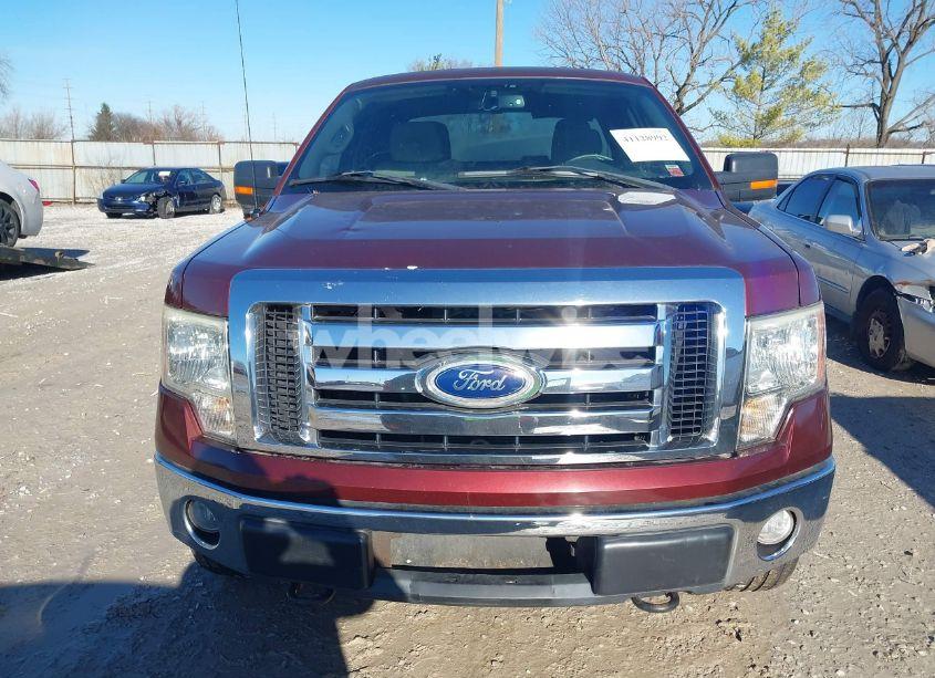 Photo 11 of 2010 Ford F-150 STX/XL/XLT (VIN 1FTEX1E87AFC69522)