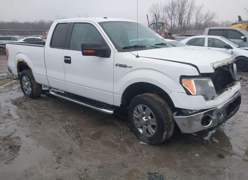 2010 Ford F-150 STX/XL/XLT (VIN 1FTEX1E88AFB68232) main photo