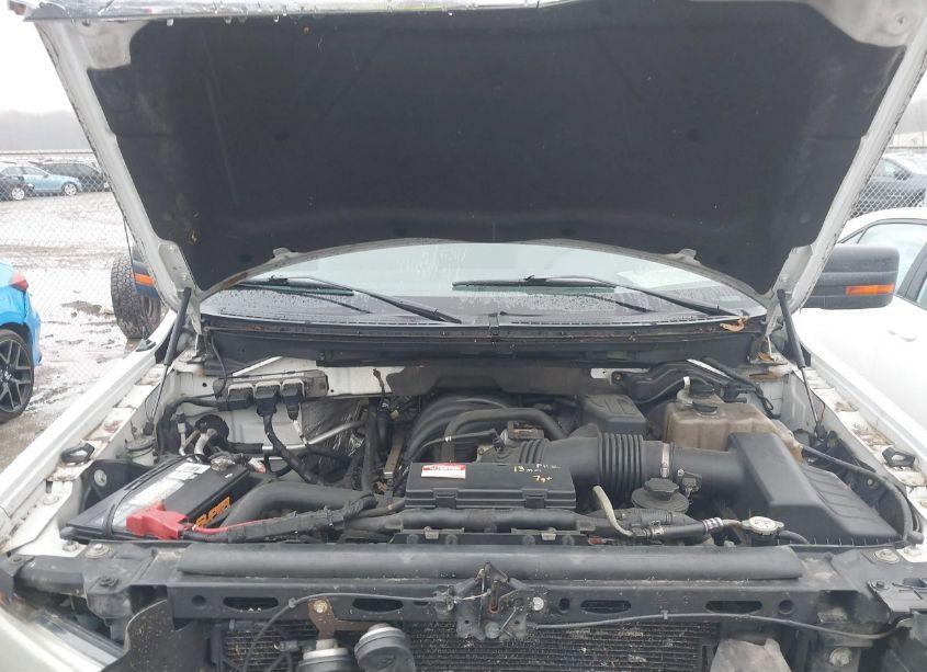 Photo 10 of 2010 Ford F-150 STX/XL/XLT (VIN 1FTEX1E88AFB68232)