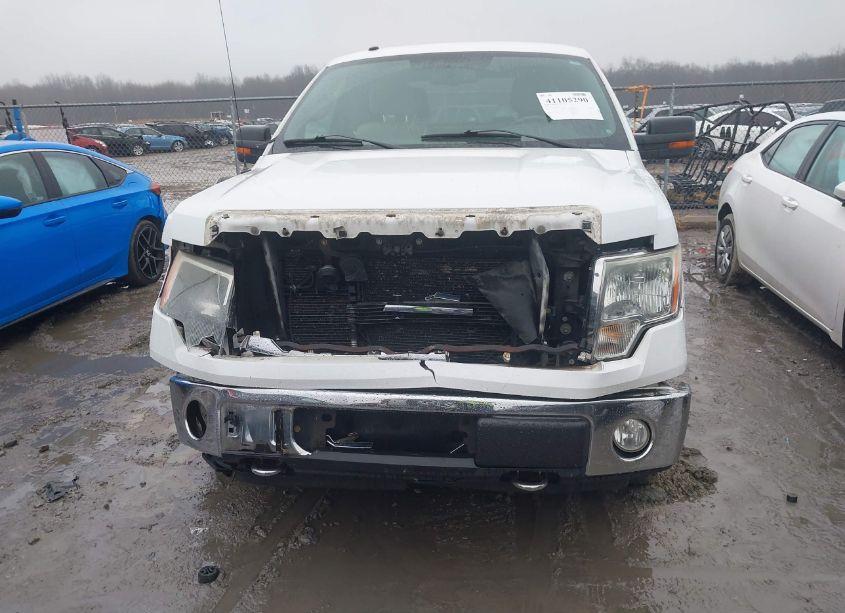 Photo 12 of 2010 Ford F-150 STX/XL/XLT (VIN 1FTEX1E88AFB68232)