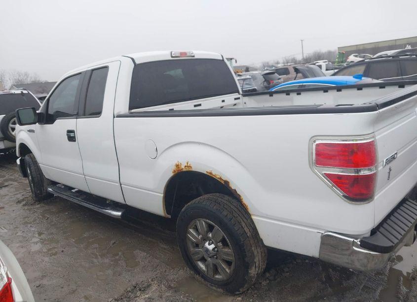 Photo 14 of 2010 Ford F-150 STX/XL/XLT (VIN 1FTEX1E88AFB68232)