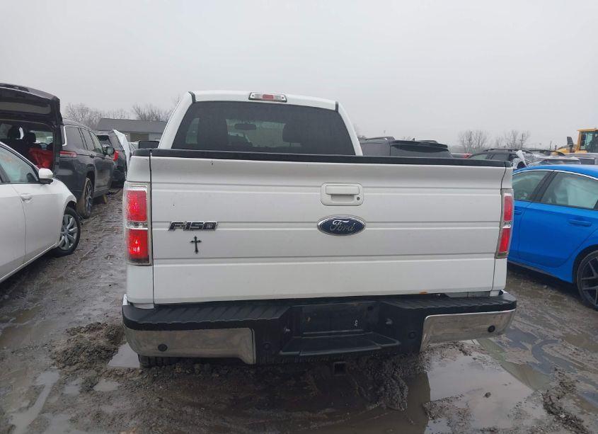 Photo 16 of 2010 Ford F-150 STX/XL/XLT (VIN 1FTEX1E88AFB68232)