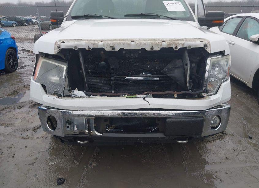 Photo 6 of 2010 Ford F-150 STX/XL/XLT (VIN 1FTEX1E88AFB68232)