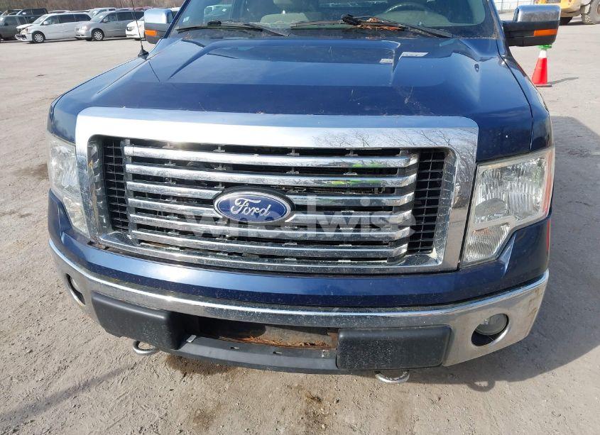 Photo 12 of 2010 Ford F-150 XLT (VIN 1FTEX1E88AFC48534)
