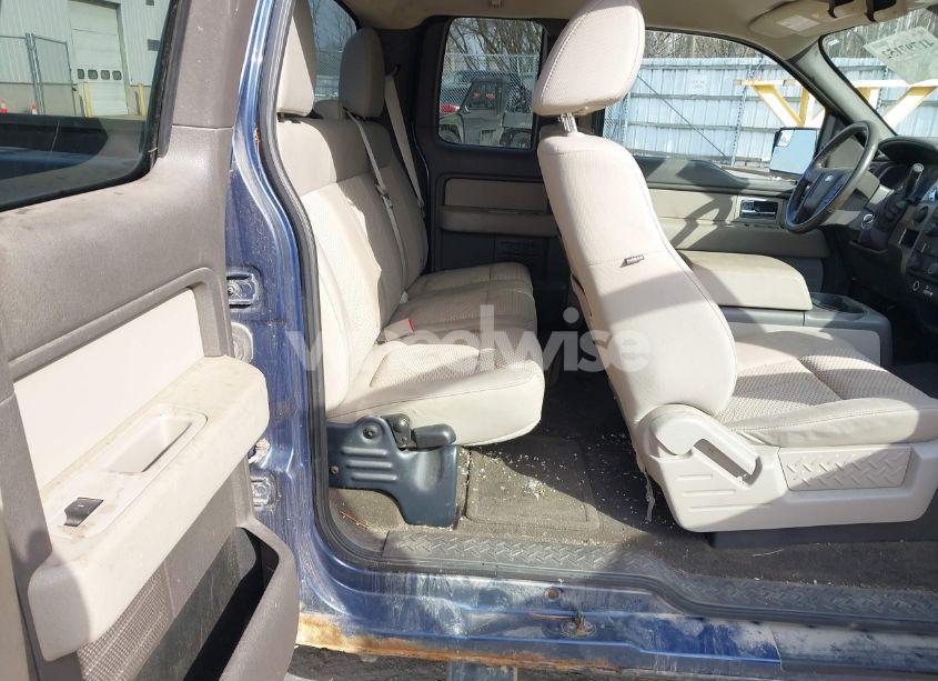 Photo 8 of 2010 Ford F-150 XLT (VIN 1FTEX1E88AFC48534)