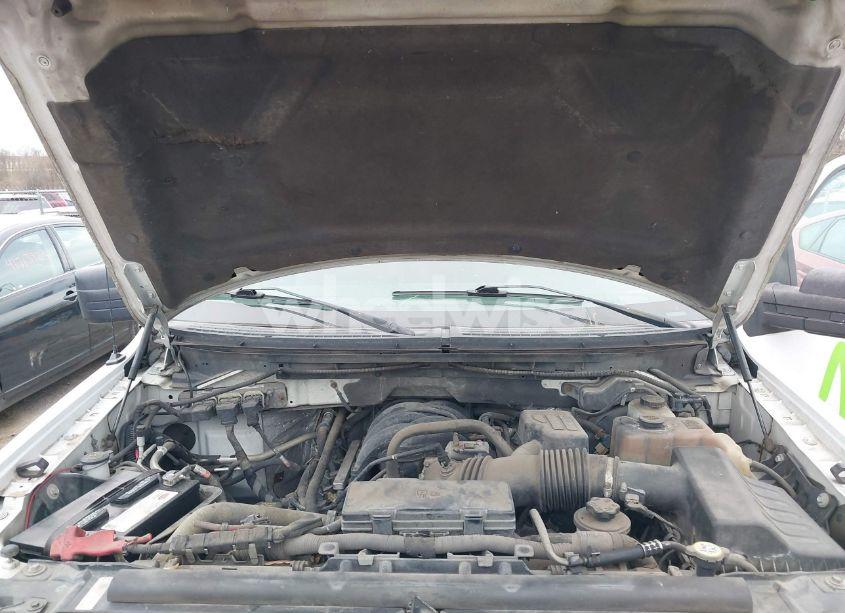 Photo 10 of 2010 Ford F-150 STX/XL/XLT (VIN 1FTEX1E88AKE76184)