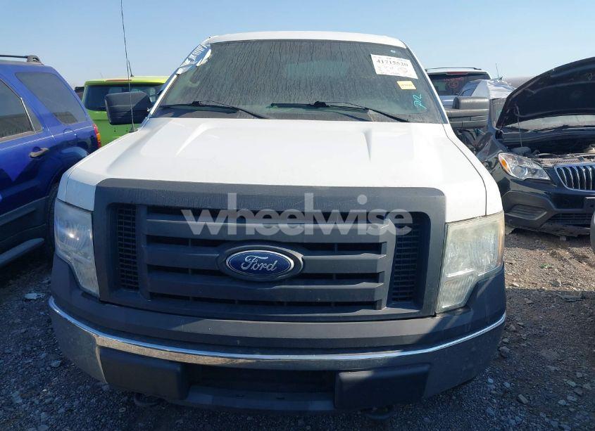 Photo 12 of 2010 Ford F-150 STX/XL/XLT (VIN 1FTEX1E88AKE76184)