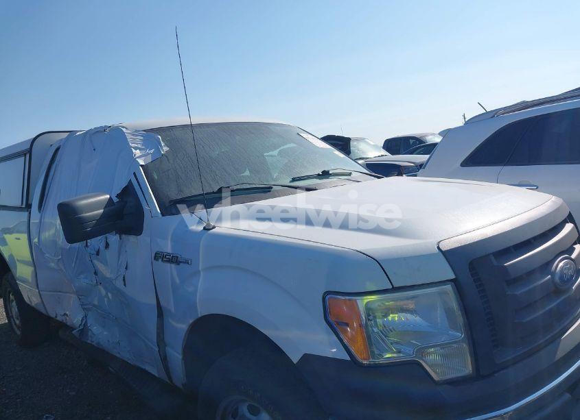 Photo 13 of 2010 Ford F-150 STX/XL/XLT (VIN 1FTEX1E88AKE76184)