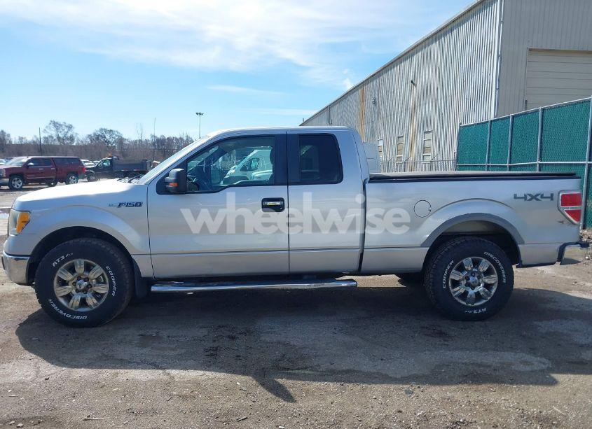 Photo 14 of 2010 Ford F-150 STX/XL/XLT (VIN 1FTEX1E89AFD51980)