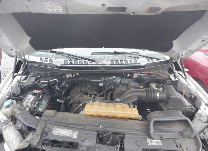 Photo 10 of 2016 Ford F-150 XLT (VIN 1FTEX1E89GFB72427)