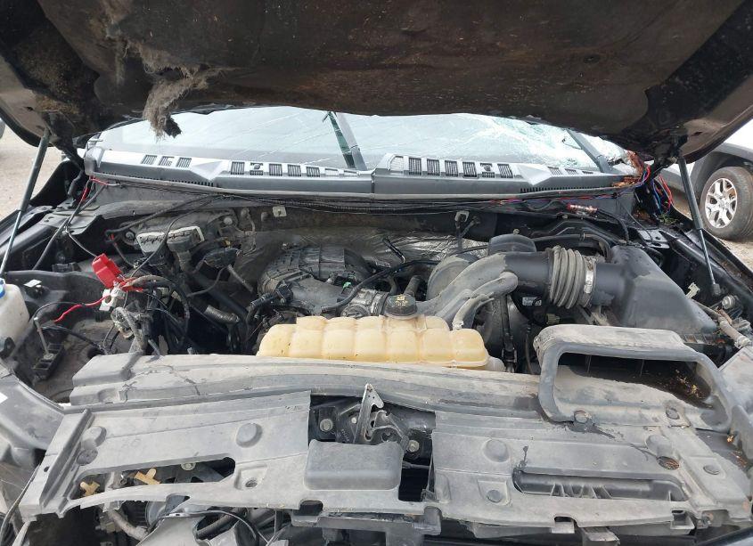 Photo 10 of 2016 Ford F-150 XL (VIN 1FTEX1E89GFD57982)