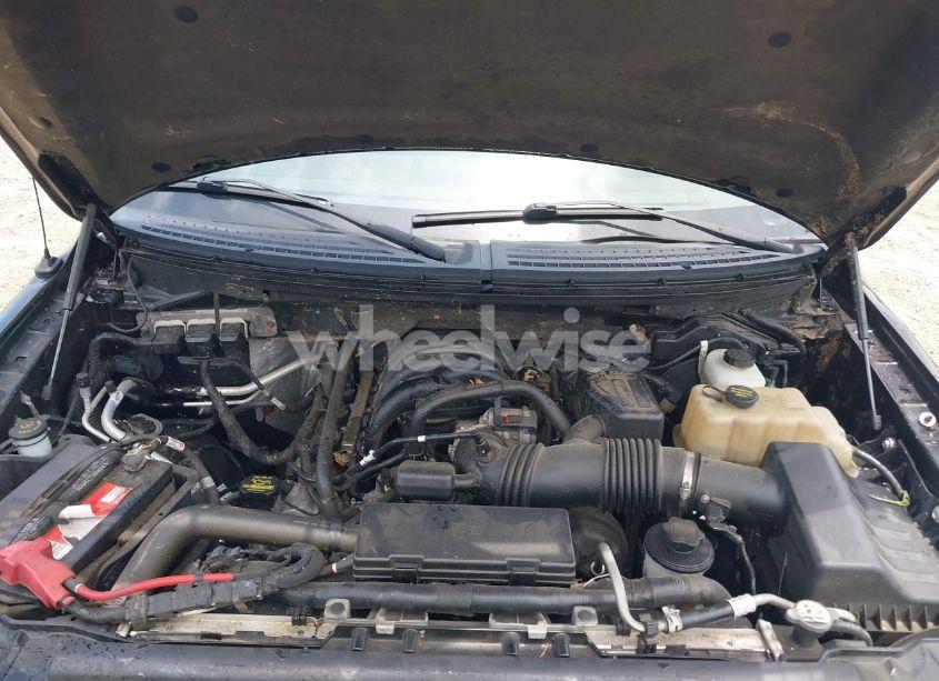 Photo 10 of 2010 Ford F-150 STX/XL/XLT (VIN 1FTEX1E8XAFD42124)