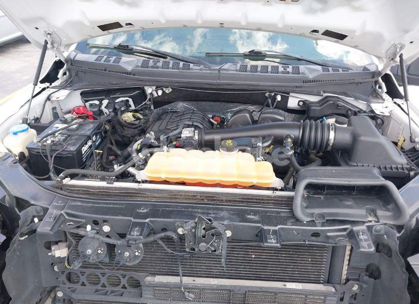 Photo 10 of 2019 Ford F-150 XL (VIN 1FTEX1EB0KFA37325)