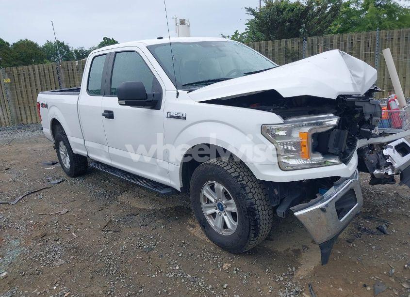 2019 Ford F-150 XL (VIN 1FTEX1EB7KFC60980) main photo