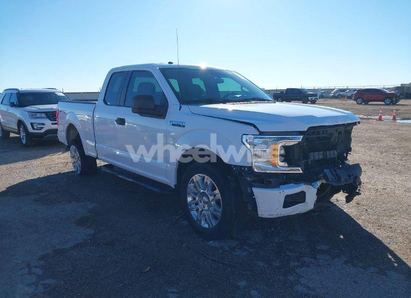 2019 Ford F-150 XL (VIN 1FTEX1EBXKKD34609) main photo