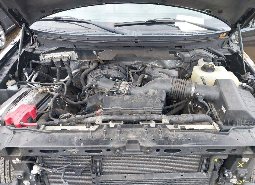 Photo 10 of 2012 Ford F-150 XLT (VIN 1FTEX1EM0CFA68805)