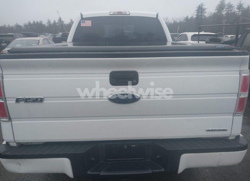 Photo 16 of 2013 Ford F-150 STX (VIN 1FTEX1EM0DFA08072)