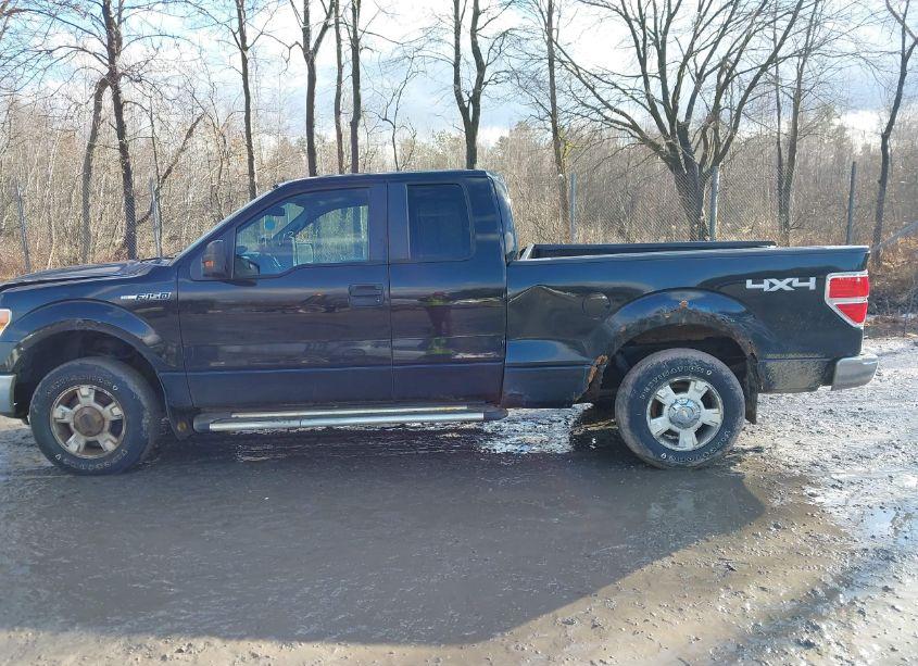 Photo 14 of 2011 Ford F-150 XLT (VIN 1FTEX1EM2BFC17004)