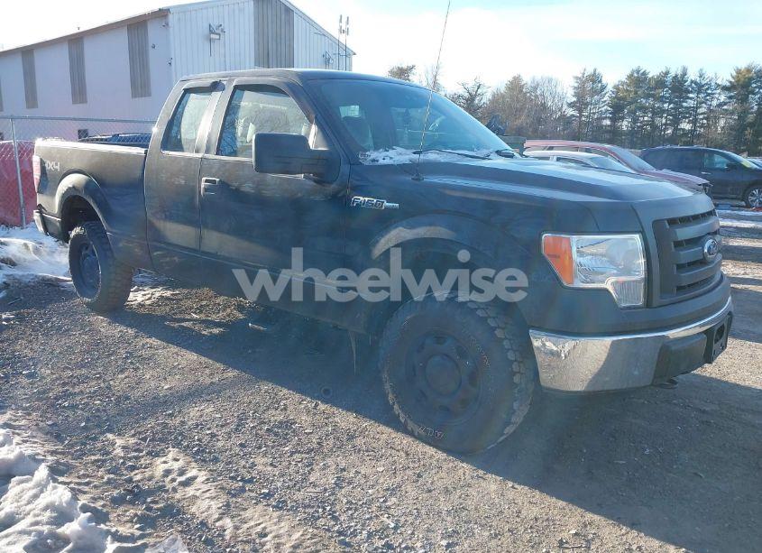 2011 Ford F-150 XL (VIN 1FTEX1EM4BFD18996) main photo