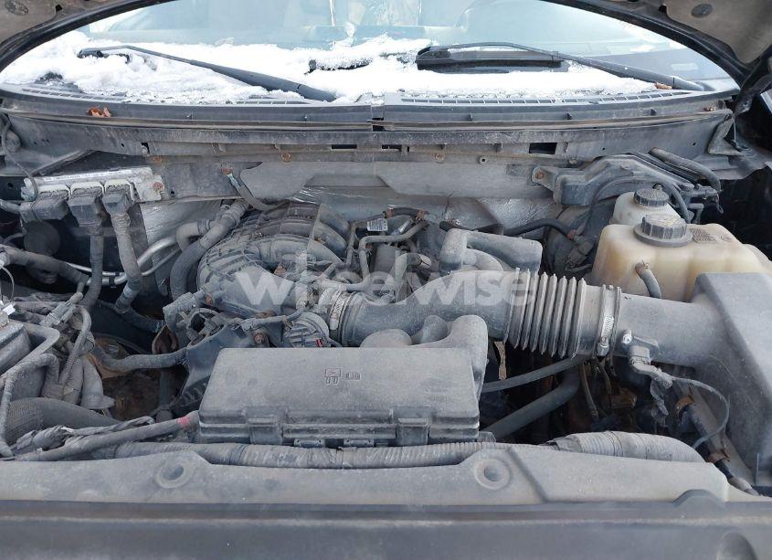 Photo 10 of 2011 Ford F-150 XL (VIN 1FTEX1EM4BFD18996)