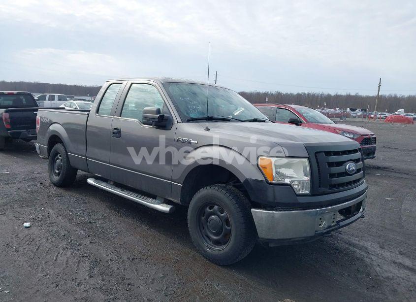 2011 Ford F-150 XL (VIN 1FTEX1EM7BFB69077) main photo