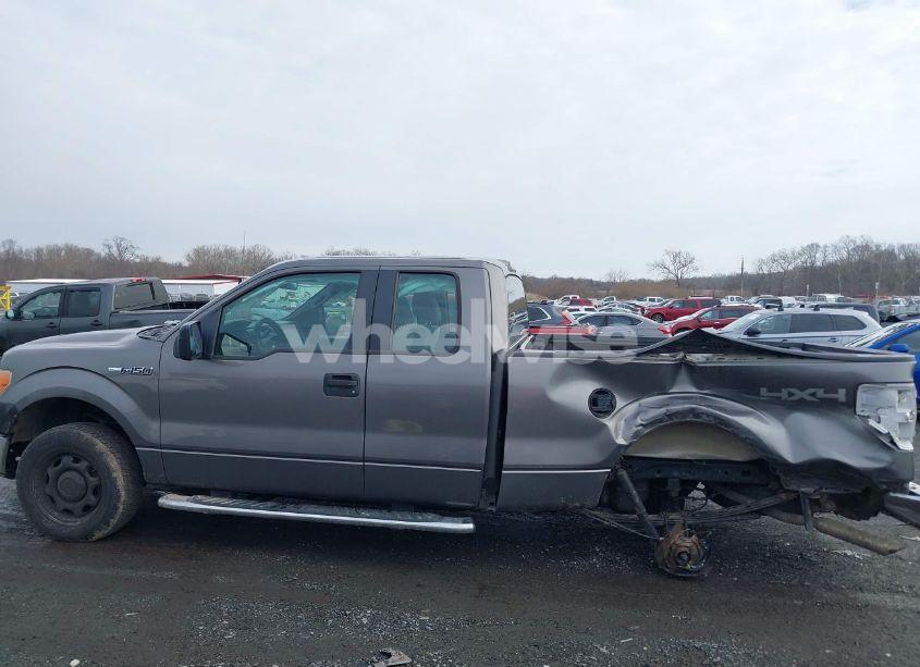 Photo 14 of 2011 Ford F-150 XL (VIN 1FTEX1EM7BFB69077)