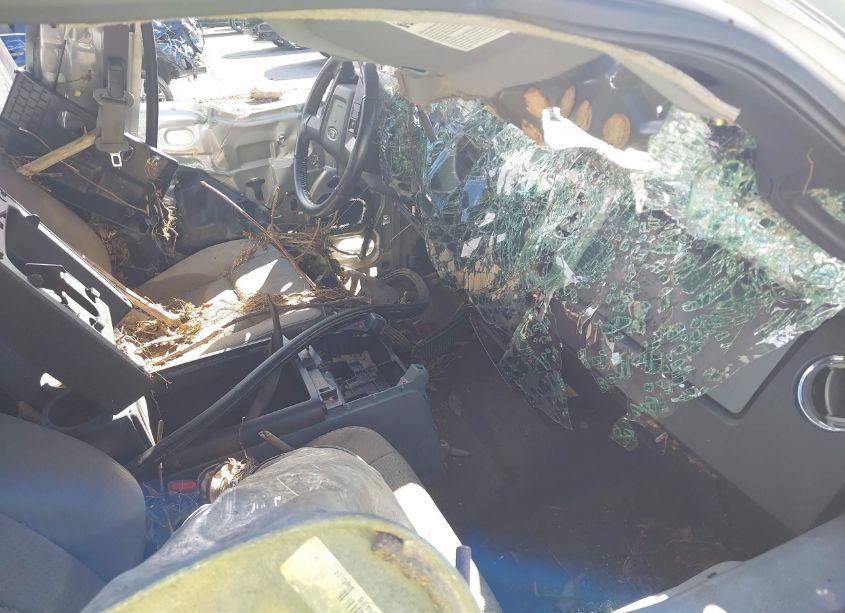 Photo 5 of 2012 Ford F-150 XLT (VIN 1FTEX1EM7CKD09511)