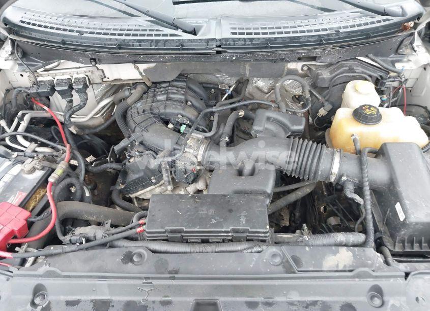 Photo 10 of 2014 Ford F-150 STX (VIN 1FTEX1EM7EFB45866)