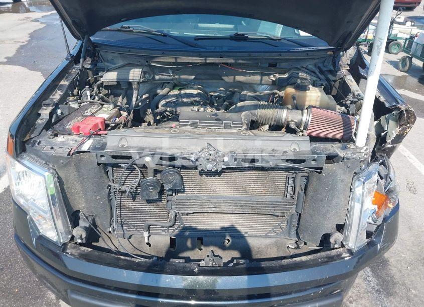 Photo 10 of 2012 Ford F-150 STX (VIN 1FTEX1EM8CKD35521)