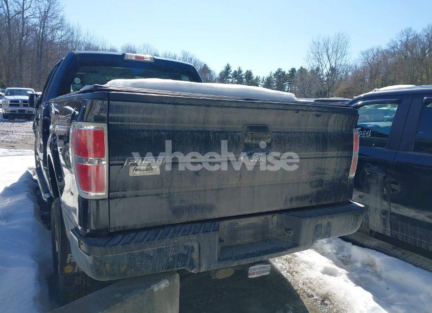 Photo 16 of 2014 Ford F-150 STX (VIN 1FTEX1EM9EFC52711)