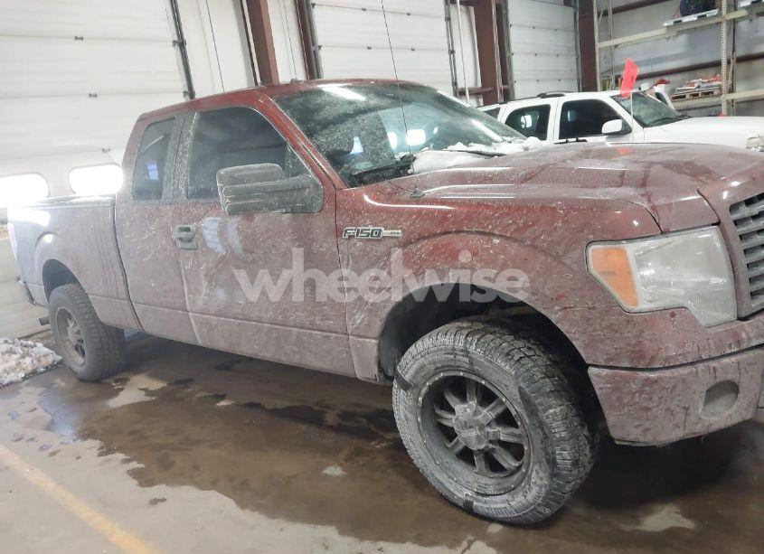 Photo 12 of 2014 Ford F-150 STX (VIN 1FTEX1EMXEKD79524)