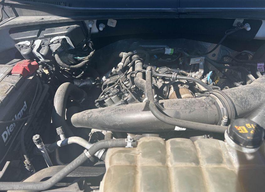 Photo 10 of 2019 Ford F-150 XL (VIN 1FTEX1EP0KKC79664)