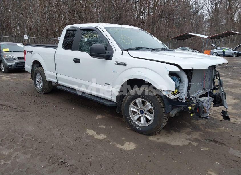 2016 Ford F-150 XL (VIN 1FTEX1EP1GFA44125) main photo