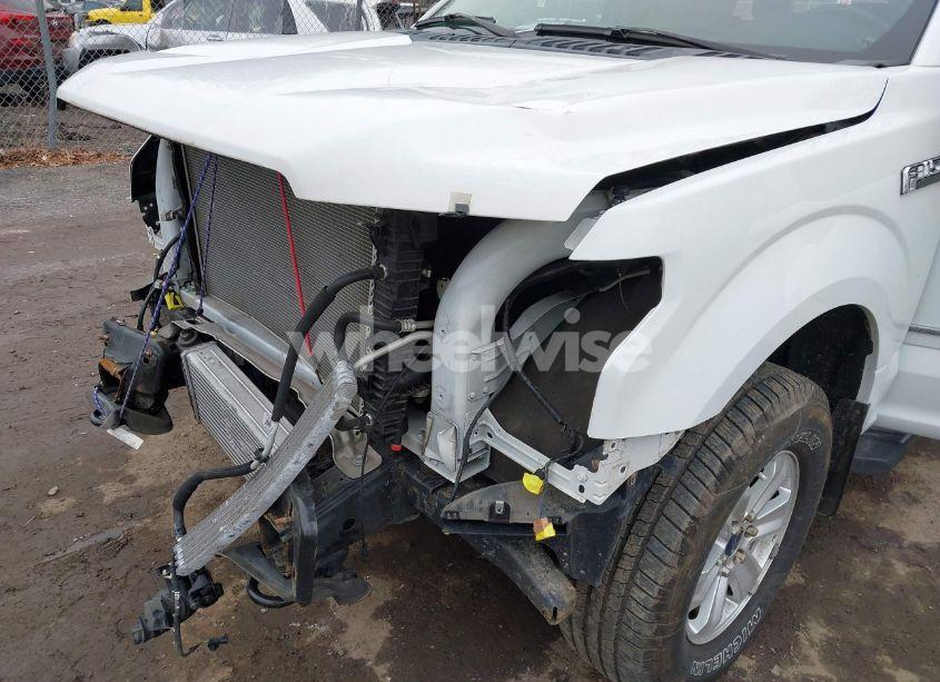 Photo 17 of 2016 Ford F-150 XL (VIN 1FTEX1EP1GFA44125)