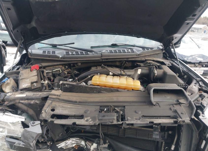 Photo 10 of 2016 Ford F-150 XL (VIN 1FTEX1EP3GFA80799)