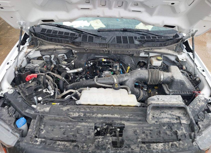 Photo 10 of 2023 Ford F-150 XL (VIN 1FTEX1EP3PKF33021)