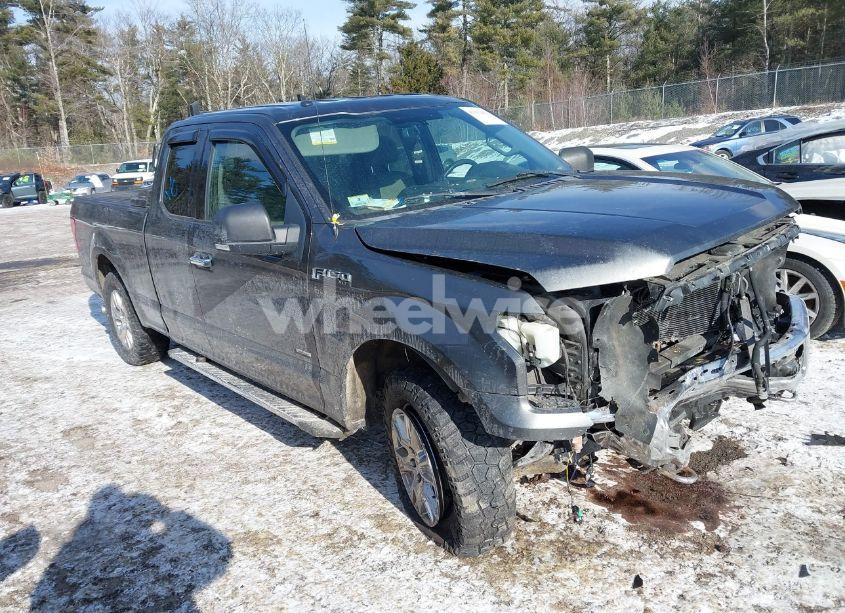 2015 Ford F-150 XLT (VIN 1FTEX1EP4FFC81402) main photo