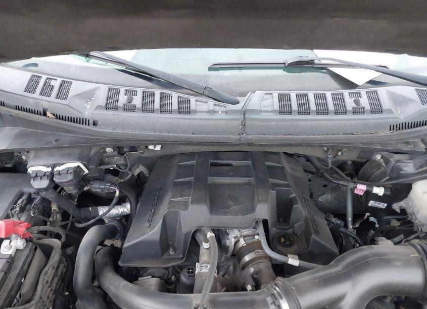 Photo 10 of 2015 Ford F-150 XLT (VIN 1FTEX1EP4FFD05715)